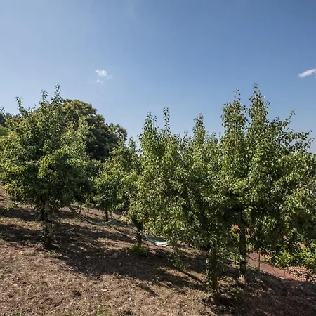 Casa Da Avo Emilia Hébergement de vacances Arganil