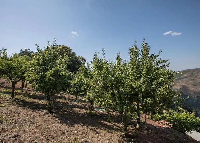 Casa Da Avó Emília Casa de Férias Arganil